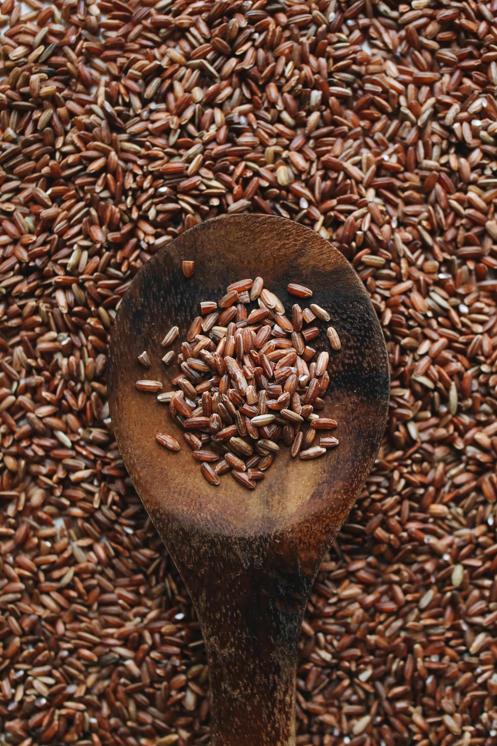 Rice