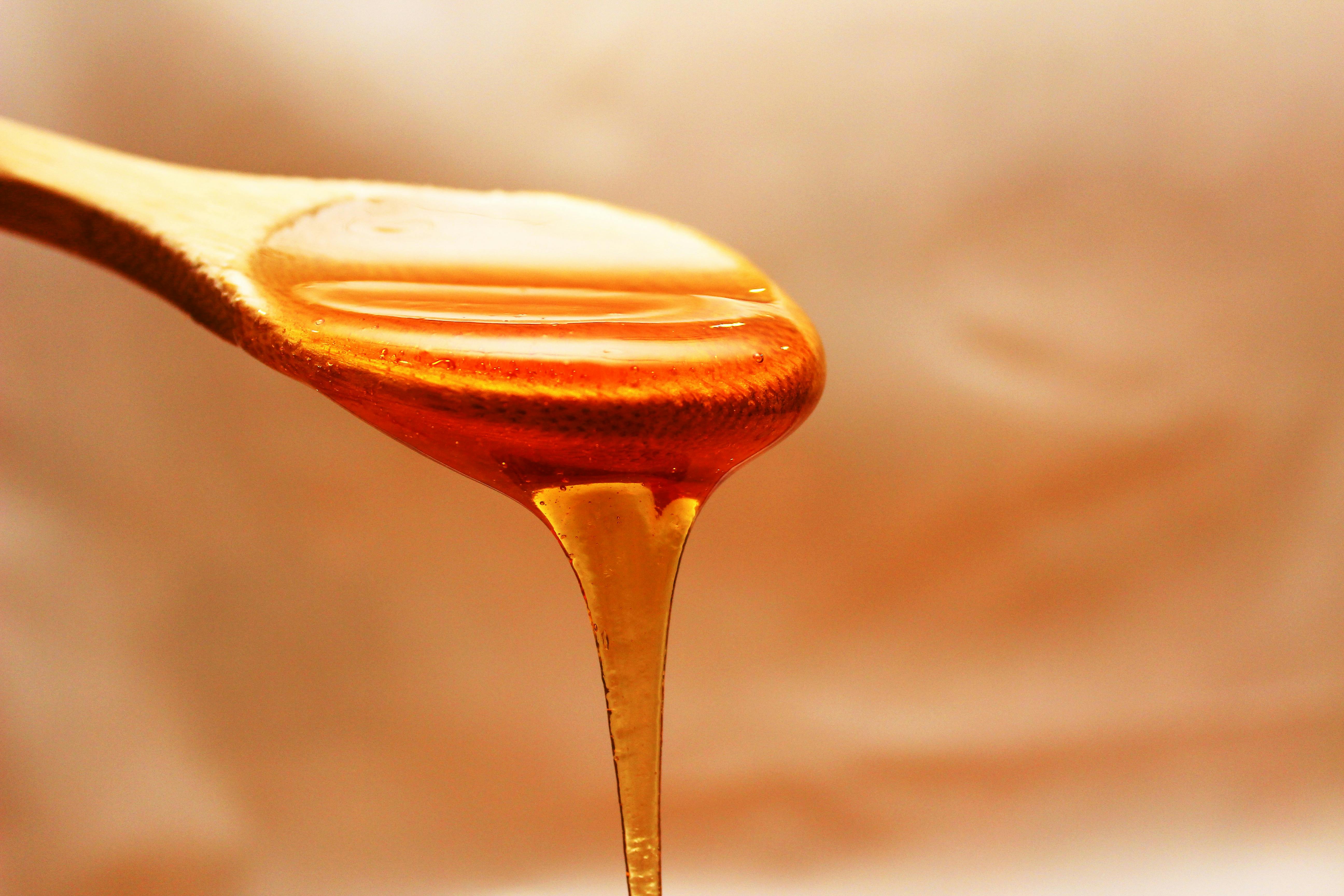 Wild Honey